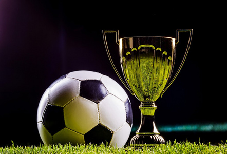 罗迪克主动 罗迪克主动